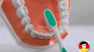 你真的“会”刷牙吗？